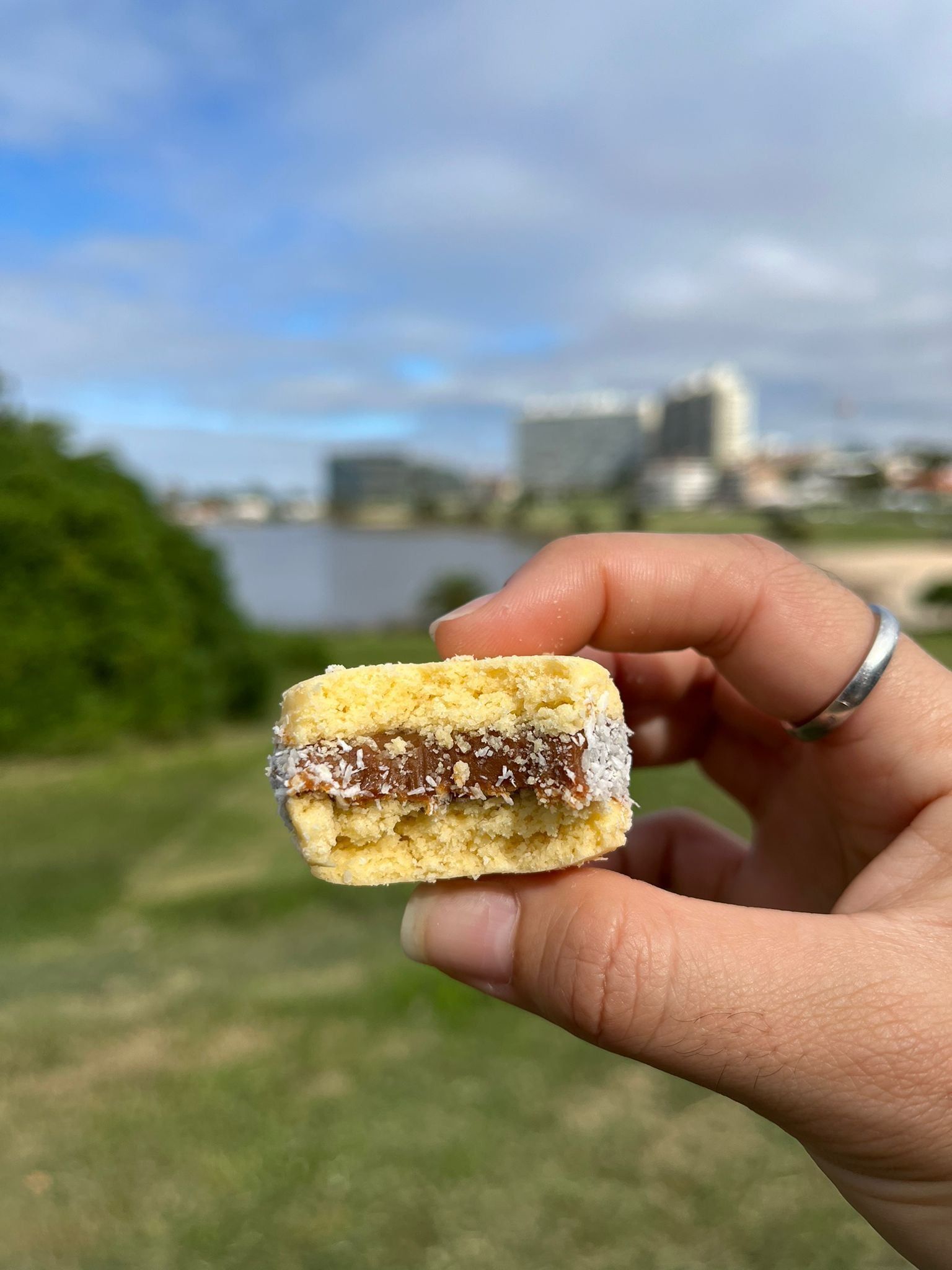 Alfajores premium